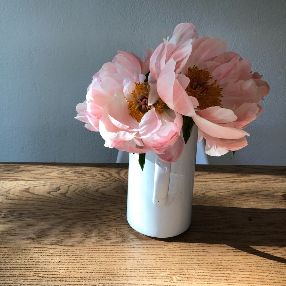 Meet your Posher, Alina